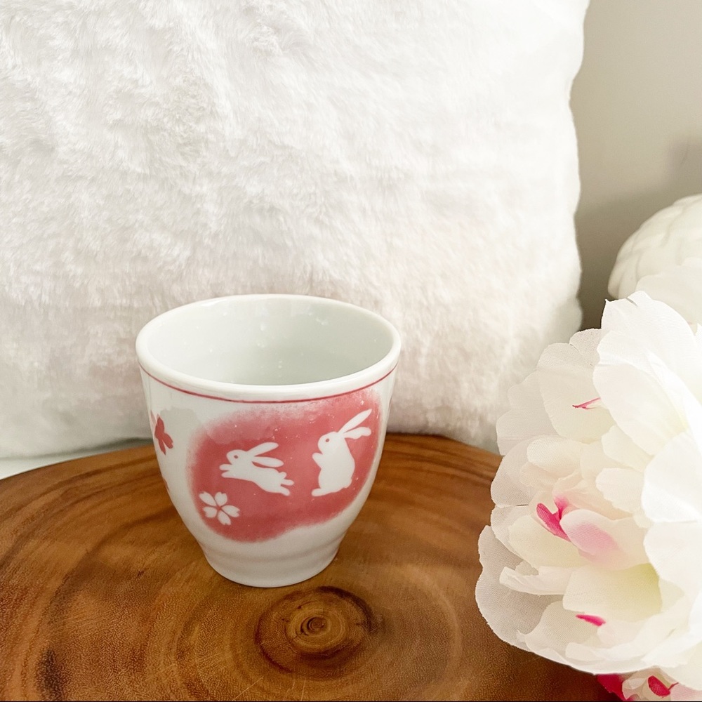 🇯🇵 Japanese tea cup🐇